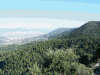 llanosdelaplata.gif (548795 bytes)