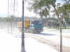polvo7.JPG (35065 bytes)